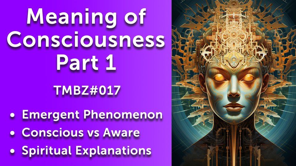 The Meaning of Consciousness (Part 1)